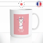 mug-tasse-animal-no-prob-llama-lama-alpaga-mouton-dessin-cool-fun-mugs-tasses-café-thé-idée-cadeau-original-personnalisable1