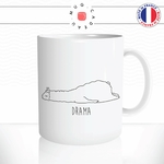 mug-tasse-ref2-lama-drama-humour-cafe-the-mugs-tasses-personnalise-anse-droite-min