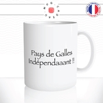 mug-tasse-kaamelott-pays-de-galles-independant-citation-série-francaise-culte-humour-drole-fun-idée-cadeau-original-café-thé-personnalisée2