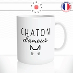 mug-tasse-chaton-damour-surnom-couple-chat-amoureux-animal-mignon-offrir-idée-cadeau-original-fun-café-thé-tasse-personnalisée2-min