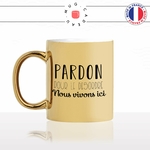 mug-tasse-doré-or-gold-pardon-pour-le-désordre-nous-vivons-ici-maison-décoration-bazar-humour-fun-idée-cadeau-personnalisé-café-thé-min