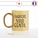 mug-tasse-doré-or-gold-parfois-le-monde-il-est-pas-gentil-francois-hollande-citation-phrase-cool-humour-fun-idée-cadeau-personnalisé-café-thé-min