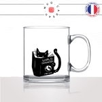 mug-tasse-en-verre-transparent-dominer-le-monde-world-humour-chat-mignon-animal-chaton-noir-fun-café-thé-idée-cadeau-original-personnalisé2-min