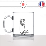 mug-tasse-en-verre-transparent-animaux-glass-griffes-griffures-chats-animal-chaton-dessin-noir-fun-café-thé-idée-cadeau-original-personnalisé-min