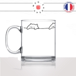 mug-tasse-en-verre-transparent-glass-animal-déco-chats-mignon-dessin-animaux-cute-chaton-cat-lover-idée-cadeau-fun-original-thé-café-min