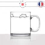 mug-tasse-en-verre-transparent-glass-animal-déco-chats-mignon-dessin-animaux-cute-chaton-cat-lover-idée-cadeau-fun-original-thé-café2-min