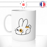 mug-tasse-ref6-lapin-blanc-taches-orange-mignon-cafe-the-mugs-tasses-personnalise-anse-gauche