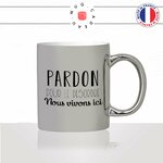 mug-tasse-argent-argenté-silver-pardon-pour-le-desordre-nous-vivons-ici-maison-decoration-humour-idée-cadeau-fun-cool-café-thé-original2-min