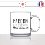 mug-tasse-en-verre-transparent-glass-pardon-pour-le-desordre-nous-vivons-ici-maison-decoration-humour-idée-cadeau-fun-cool-café-thé-original2-min