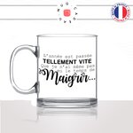 mug-tasse-en-verre-transparent-glass-nouvel-an-pas-le-temps-de-maigrir-régime-copine-chocolat-collegue-humour-idée-cadeau-fun-cool-café-thé-min