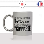 mug-tasse-argent-argenté-silver-princesse-connasse-femme-copine-collegue-couple-célibataire-humour-idée-cadeau-fun-cool-café-thé-original-min
