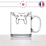 mug-tasse-en-verre-transparent-glass-manga-japonais-gibli-dessin-animé-mon-voisin-totoro-mignon-enfant-humour-idée-cadeau-fun-cool-café-thé2