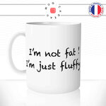 mug-tasse-ref15-panda-gros-fat-fluffy-touffu-mignon-cafe-the-mugs-tasses-personnalise-anse-gauche