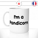 mug-tasse-ref18-panda-tete-corne-licorne-pandicorn-couleurs-cafe-the-mugs-tasses-personnalise-anse-gauche