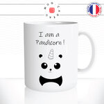mug-tasse-ref27-panda-licorne-pandicorn-im-mignon-cafe-the-mugs-tasses-personnalise-anse-droite