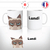 MUGCHATPASCONTENT