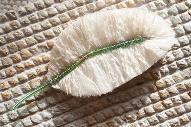 Broche  Plume de tissu - Blanc/menthe