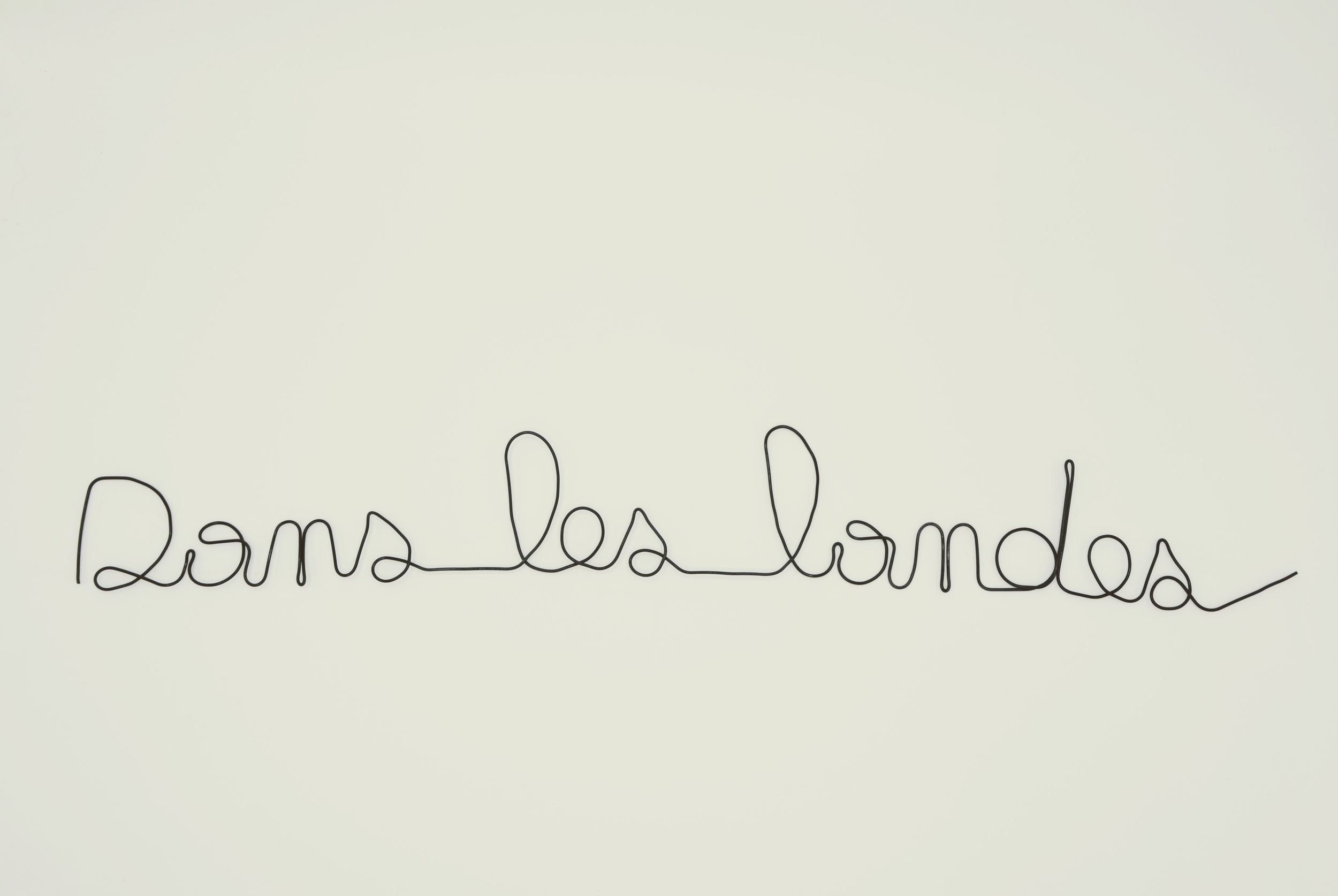 Mot expression Dans les Landes en fil de fer