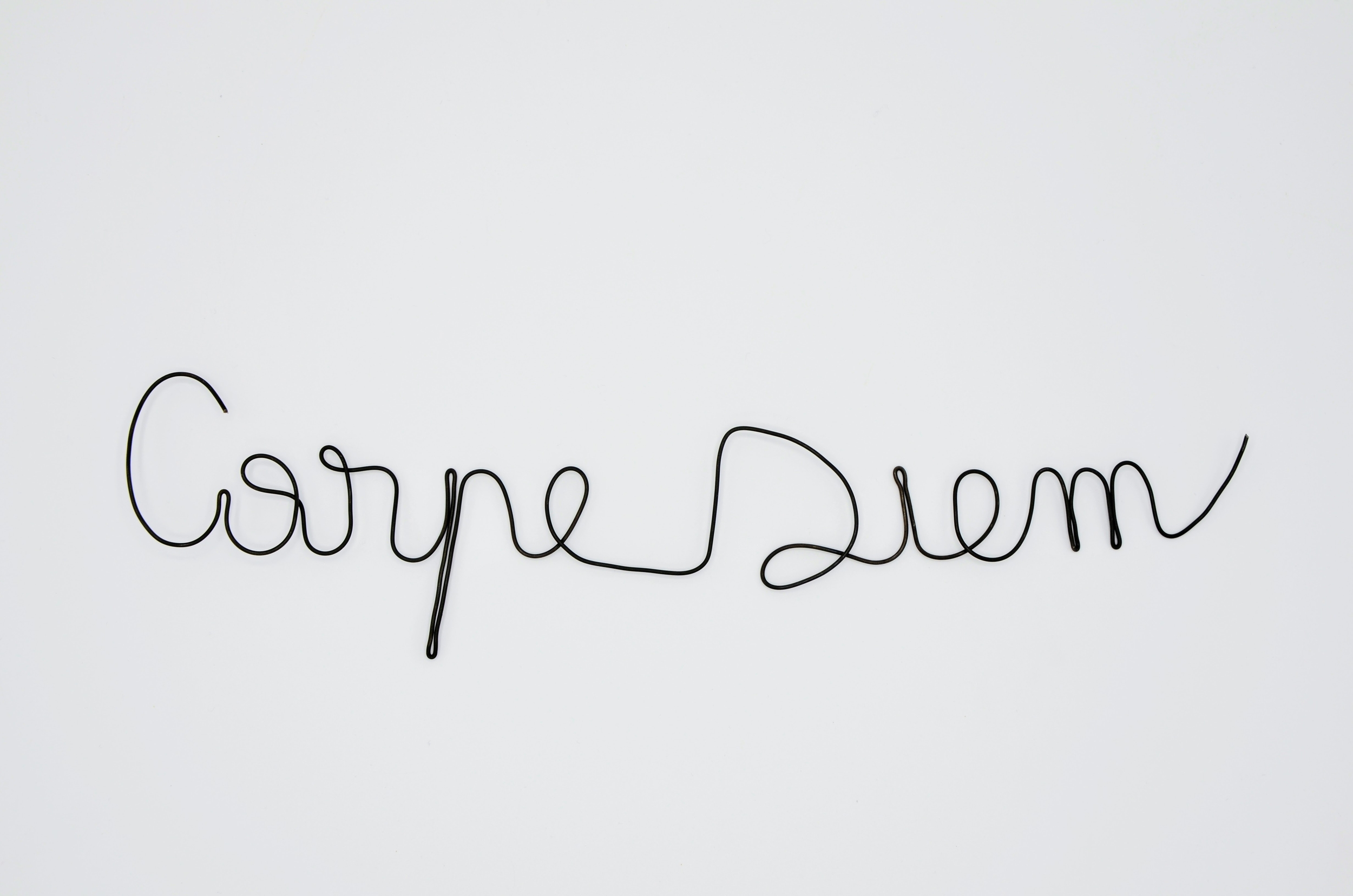 Mot expression Carpe Diem en fil de fer