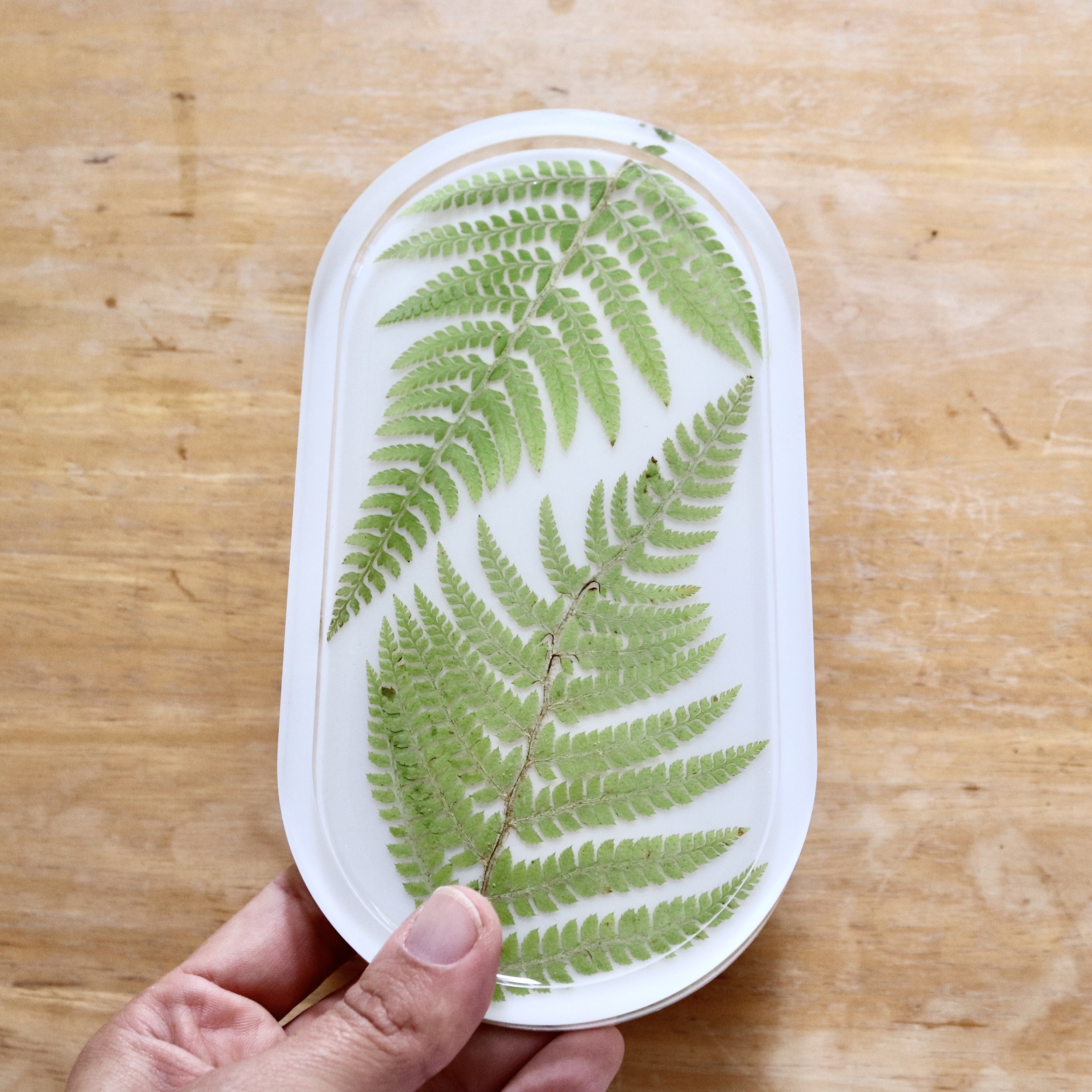 vide poche blanc feuilles  fougères séchées plat rangement bijoux landes (2)