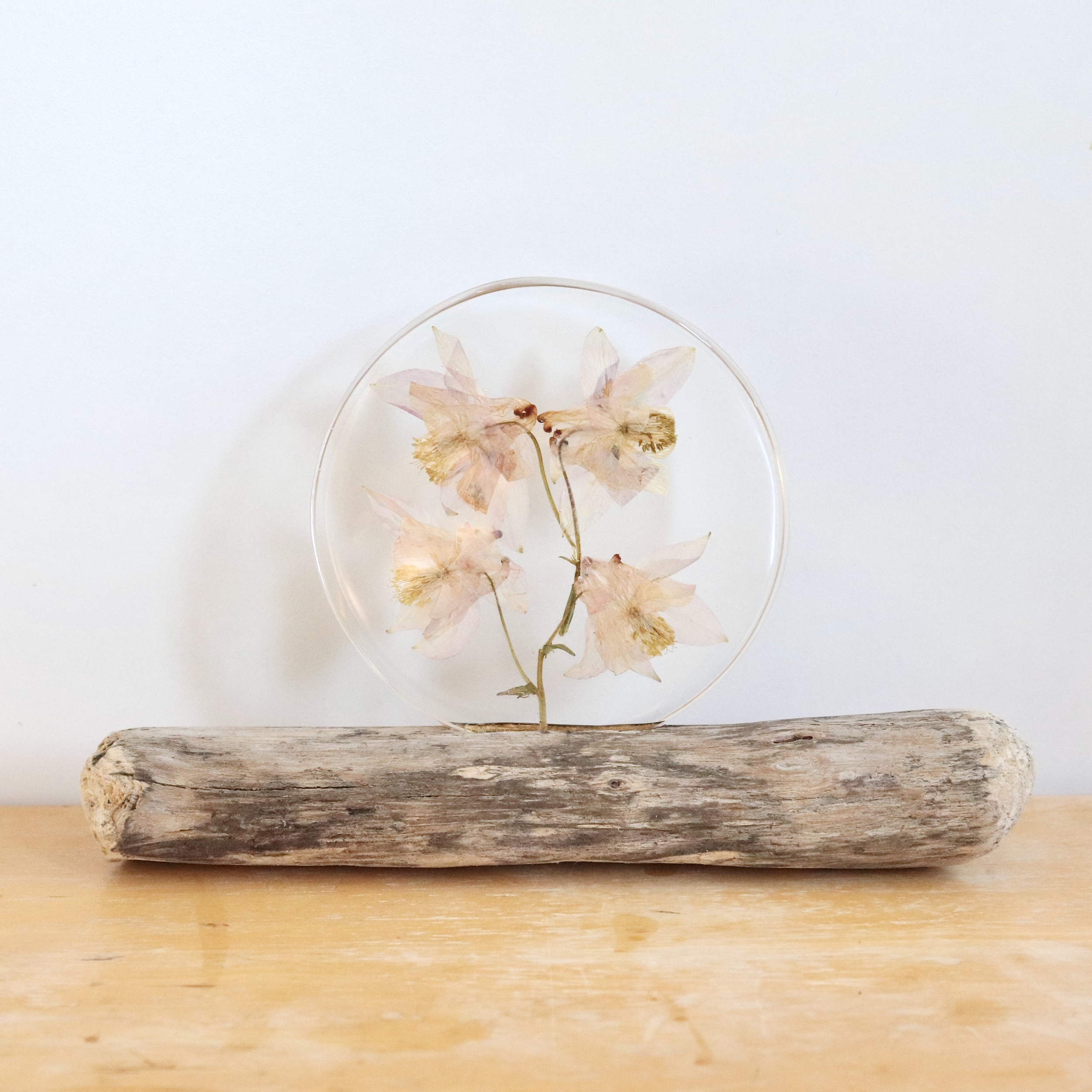 présentoir bois flotté et fleurs ancolies résine transparente