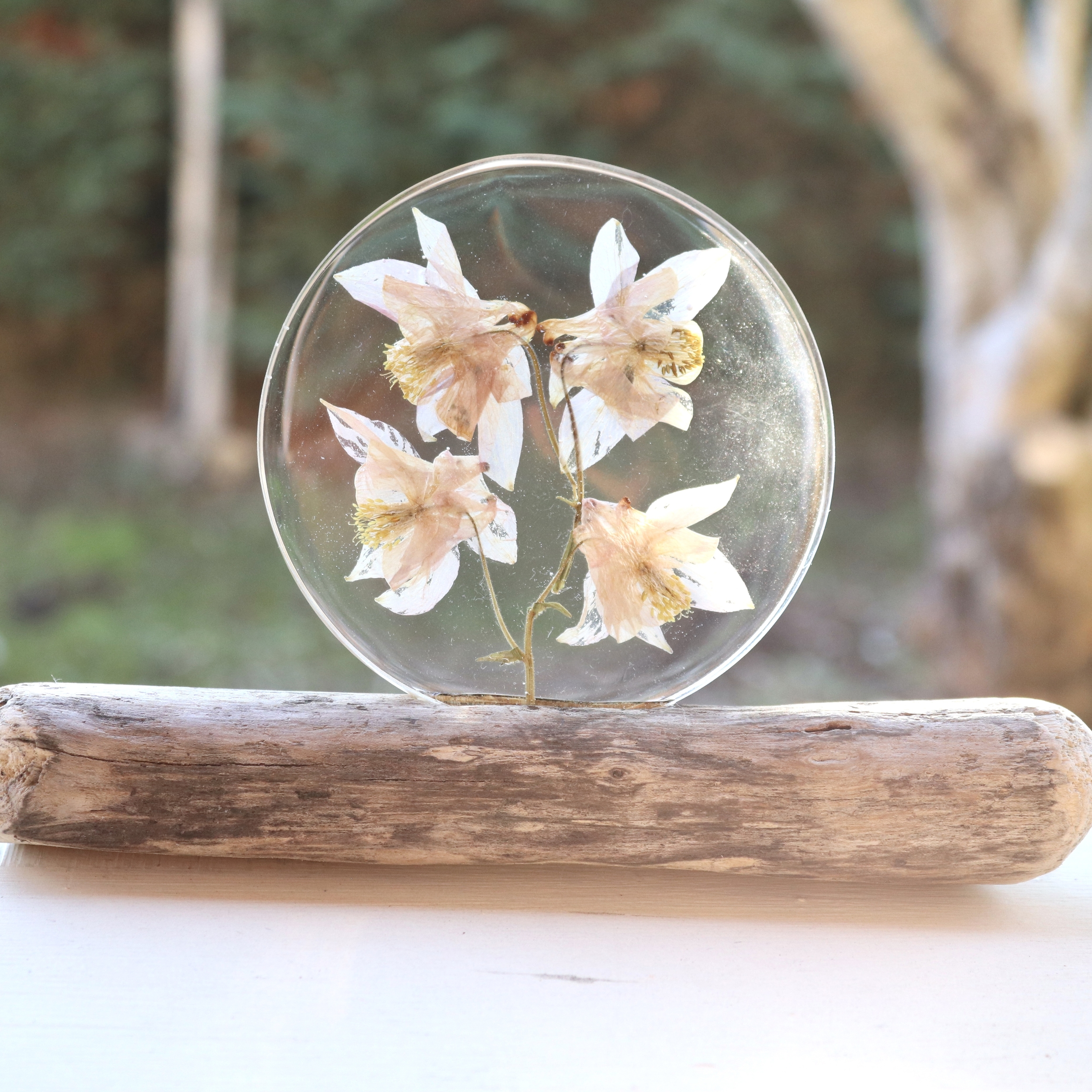 présentoir bois flotté et fleurs ancolies résine transparente (2)