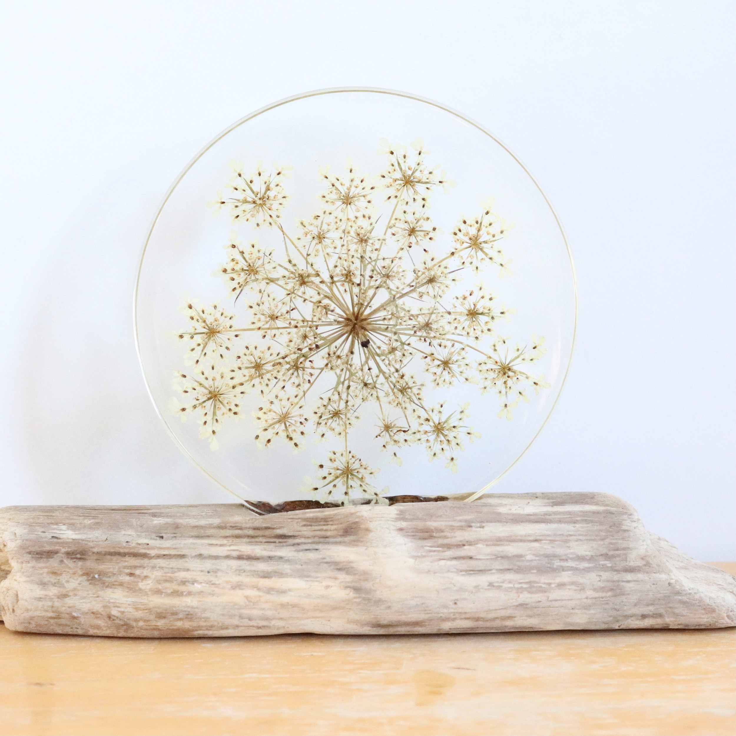 présentoir bois flotté et fleurs carotte sauvage résine transparente