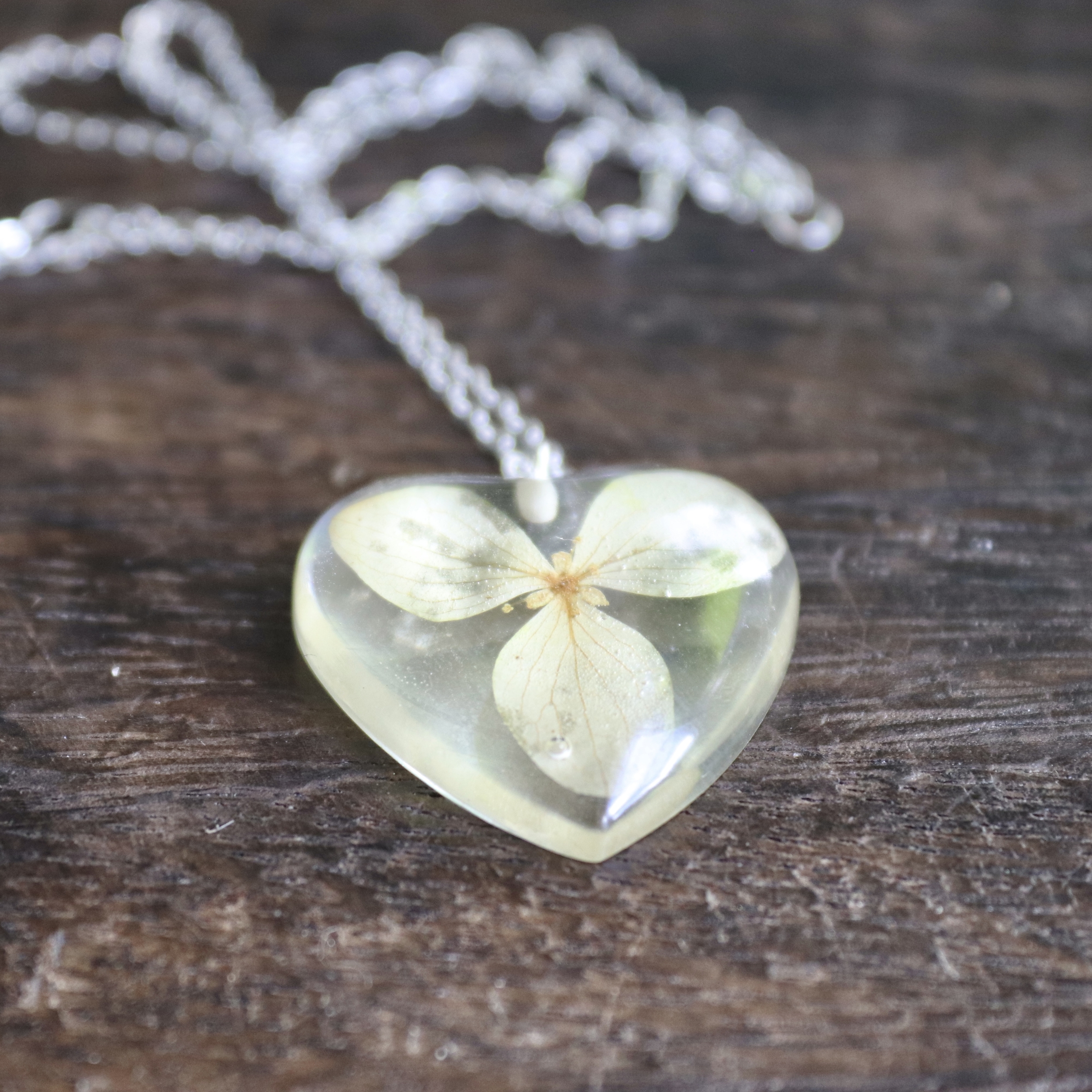 collier chaine acier inox pendentif fleur séchée coeur hortensia3