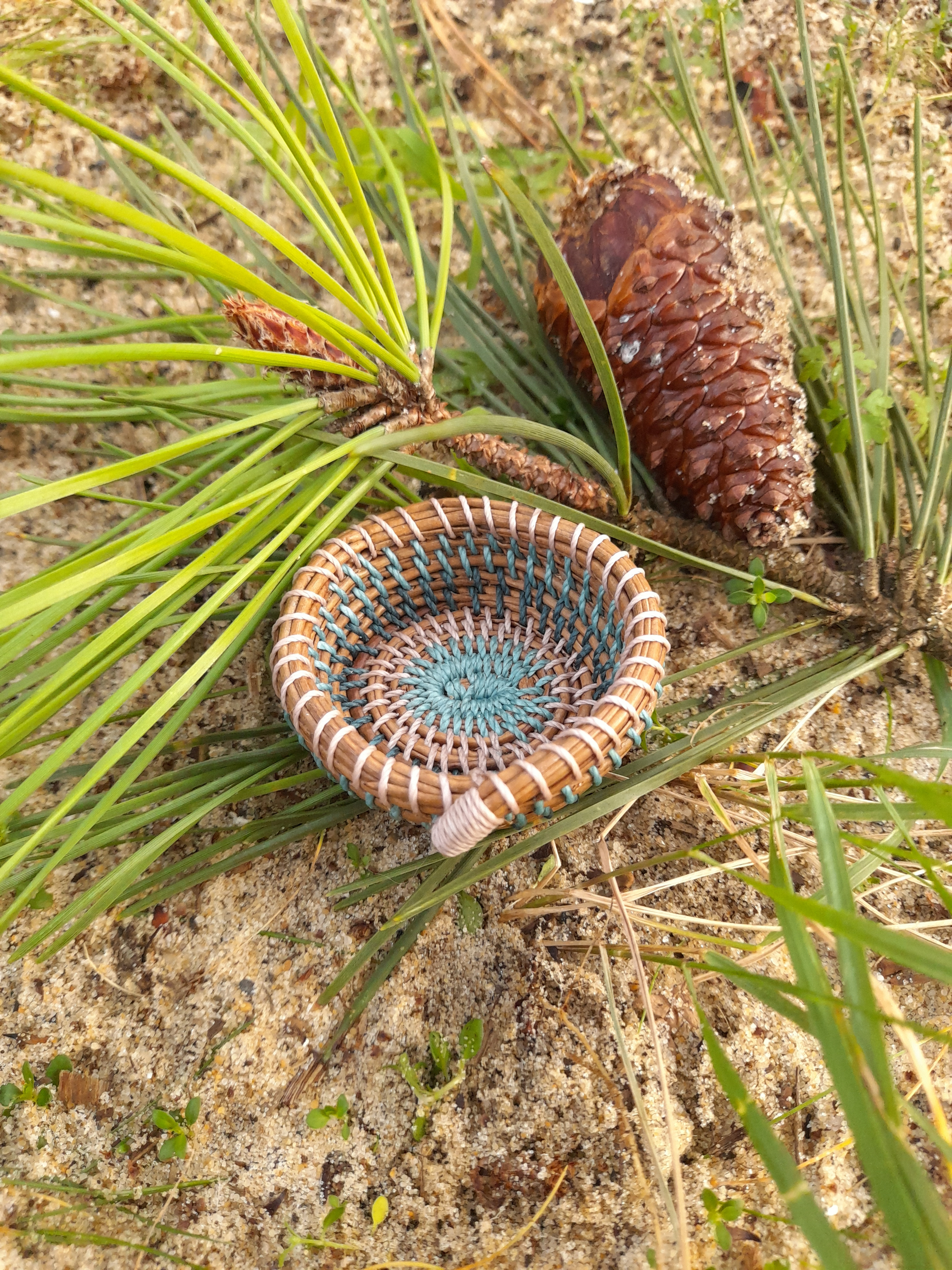 mini corbeille aiguilles de pin tressées tissées bleu