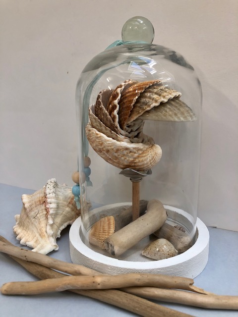 cloche verre coquillages fabrication artisanale locale
