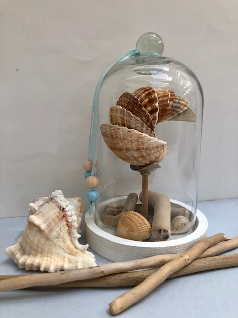 IMGcloche verre coquillages fabrication artisanale locale_6726
