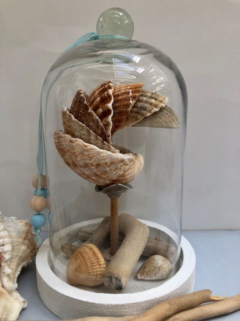 IMGcloche verre coquillages fabrication artisanale locale_6727