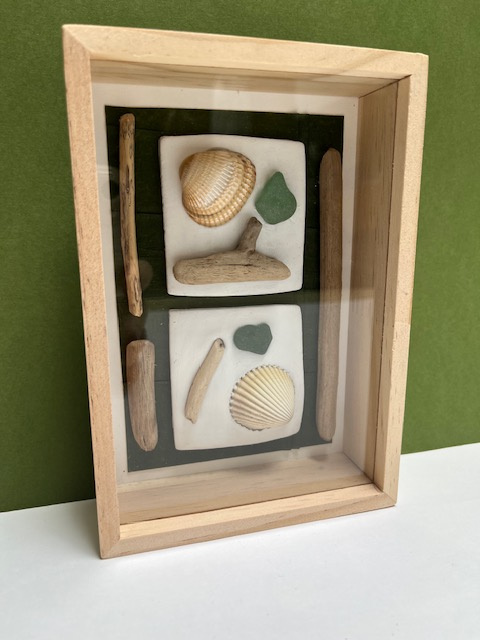 cadre vitrine coquillages verre mer bois flotté