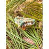 corbeille mini aiguille pin tressée landes vert clair2
