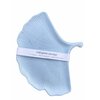vide poche feuille ginkgo jesmonite bleu clair