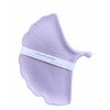 vide poche feuille ginkgo jesmonite violine