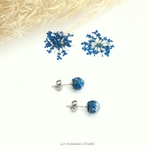 100-puces oreilles acier inox fleur séchée dentelle reine bleu roi