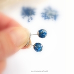 101-puces oreilles acier inox fleur séchée dentelle reine bleu roi