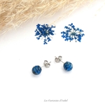 99-puces oreilles acier inox fleur séchée dentelle reine bleu roi