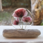 présentoir bois flotté et fleurs pavot coquelicot résine transparente (2)