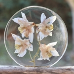 présentoir bois flotté et fleurs ancolies résine transparente (3)