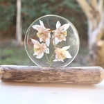 présentoir bois flotté et fleurs ancolies résine transparente (2)