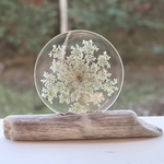 présentoir bois flotté et fleurs carotte sauvage résine transparente (2)