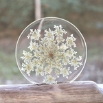 présentoir bois flotté et fleurs carotte sauvage résine transparente (3)