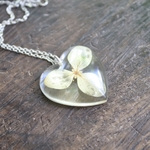 collier chaine acier inox pendentif fleur séchée coeur hortensia2