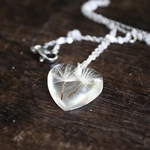 collier chaine acier inox pendentif fleur séchée coeur pissenlit