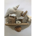 deco bois flotté poissons fonds marins