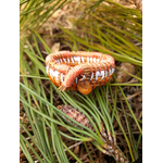 corbeille mini aiguille pin tressée landes orange2