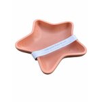vide poche etoile de mer jesmonite terracotta