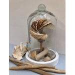 cloche verre coquillages fabrication artisanale locale